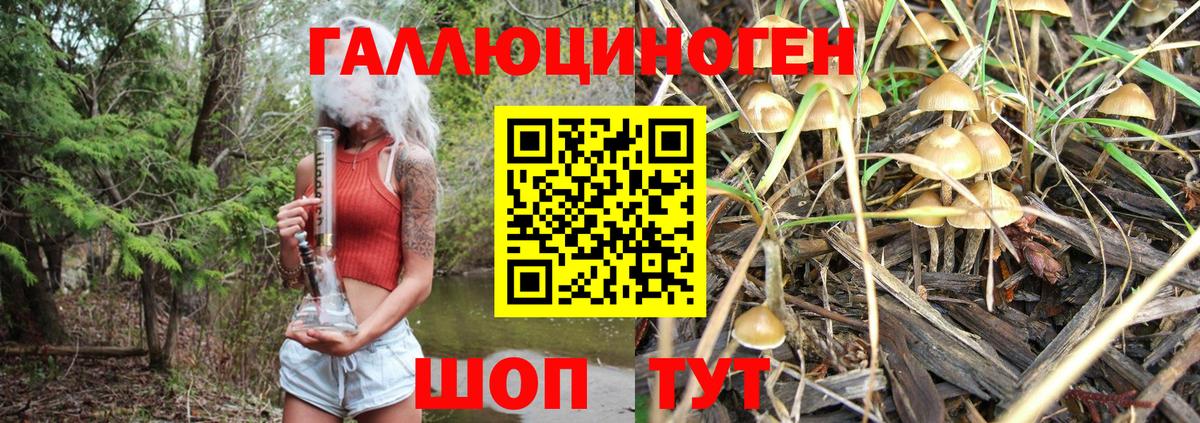 Ярославль  Галлюциногенные грибы Psilocybe  Вход с VPN 