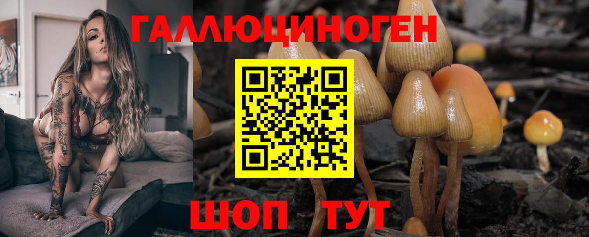Галлюциногенные грибы GOLDEN TEACHER Ярославль