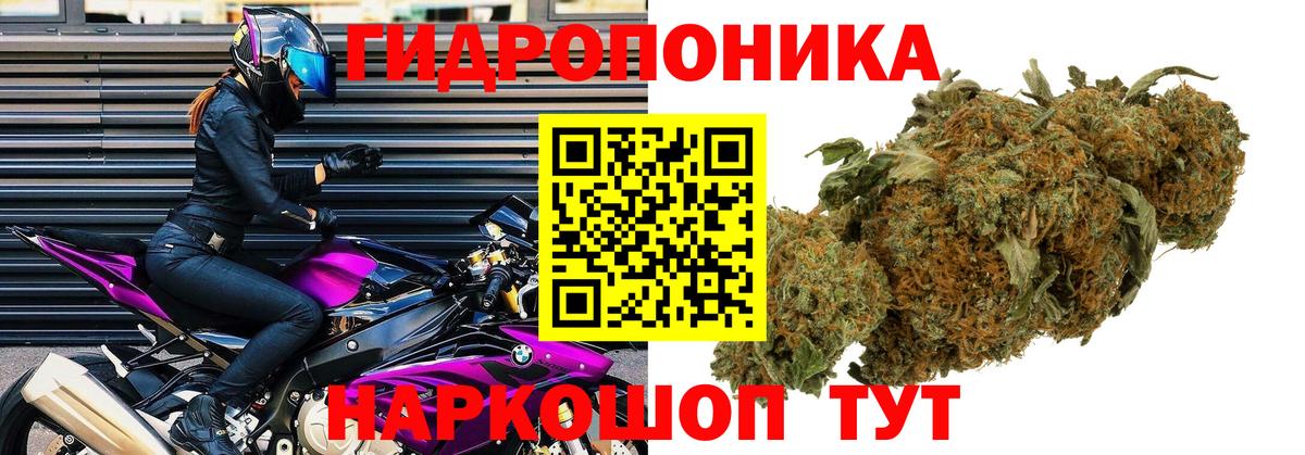 Шишки марихуана Amnesia  Канабис SATIVA & INDICA  Марихуана план  Вход с VPN  Ярославль 